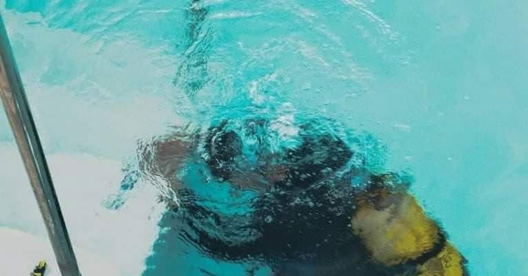 Underwater pool repair